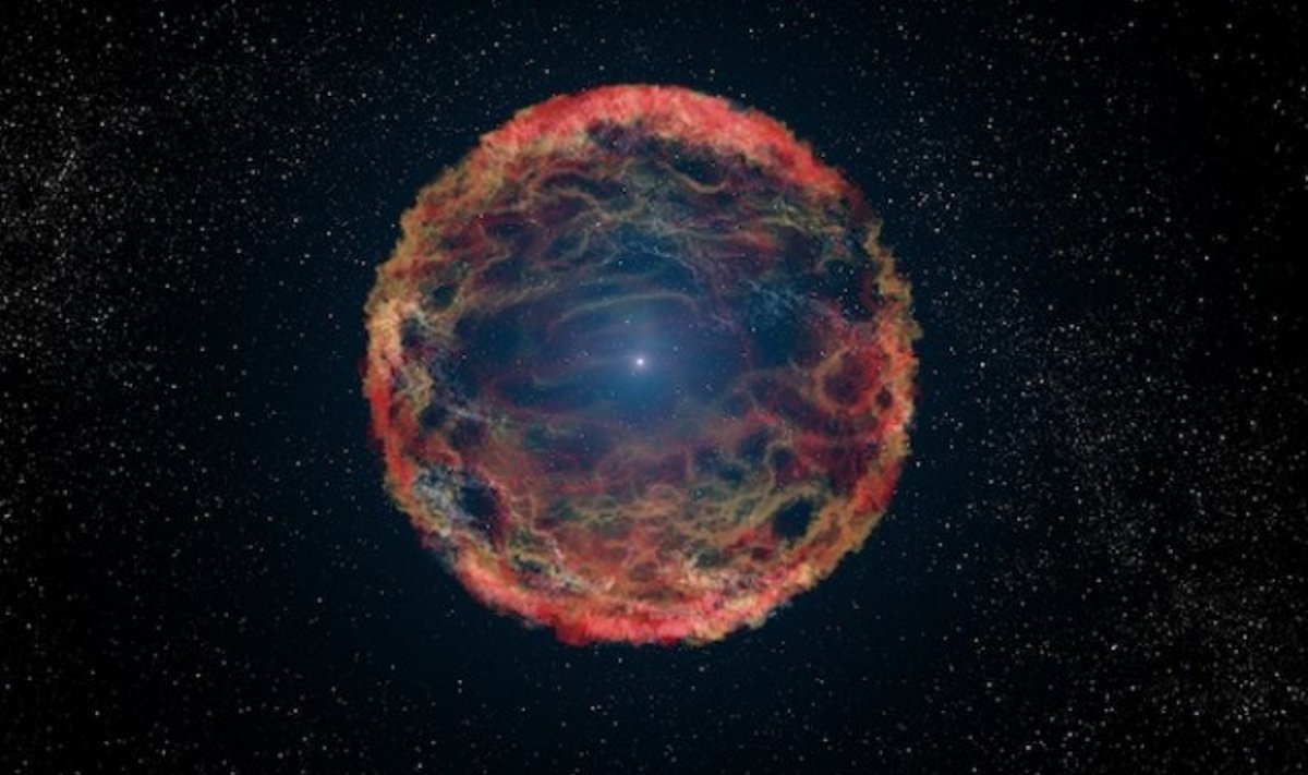 Supernova SN 1993J