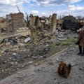 Apsilankė labiausiai nusiaubtuose Kijevo regiono miestuose: liudininkai pasakoja protu nesuvokiamus dalykus