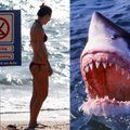На пляже в Хургаде жертвами акул стали две женщины - туристки из Австрии и Румынии