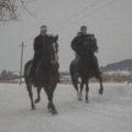 Gamtininko D. Liekio videoblogas: su žirgais žiemą ieškoti laukinių žvėrių