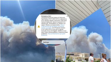 Lietuvės teigia, kad Rodo saloje buvo paliktos likimo valiai: netoliese išvydusios ugnį, pačios evakavosi iš viešbučio
