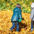 Sodo darbai rudenį: 10 dalykų, kuriuos būtina padaryti prieš žiemą