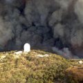 Krūmynų gaisrai Australijoje pristabdė juodųjų skylių tyrimus