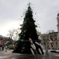 Teismas skyrė priverstinį gydymą Kauno Kalėdų eglę padegusiam vyrui