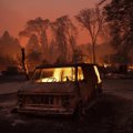 Dėl miškų gaisrų Kalifornijoje namus teko palikti dešimtims tūkstančių gyventojų