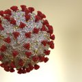 Gydytoja palygino koronaviruso atmainas: skirtumai – akivaizdūs