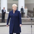 Lithuanian president on Russia's MH17 tribunal veto: The country is hiding something