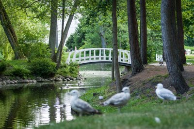 Birutės parkas Palangoje 