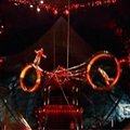 Naujoje „Cirque Du Soleil“ programoje - kvapą gniaužiantys akrobatikos elementai