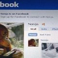Fotografuojantis orangutanas Austrijoje tapo socialinio tinklo „Facebook“ sensacija