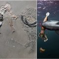 Archeologai Vokietijoje aptiko stulbinančią fosiliją: juros periodo kalmaras žuvo nuo ryklio, kol pats dorojo savo auką
