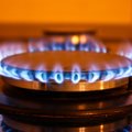 Pocius: dujų kaina gali mažėti kitų metų viduryje