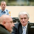 Karadzic sentence 'shows it is possible to deliver justice'