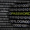 Kibernetinis karas: kaip atsakyti į kibernetinius išpuolius?