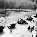 Budapešto apgultis: sovietų armijos surengtas safaris ir kareivių kūnais šeriamas liūtas