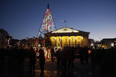 Vilnius, 2016 m. gruodžio 3 d. (ELTA). Vilniaus rotušės aikštėje įžiebta Kalėdų eglė. Gedimino Savickio (ELTA) nuotr.