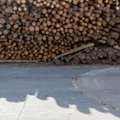 Baltarusiškos bendrovės apeina ES sankcijas gabendamos medieną: dalis patenka ir į Lietuvą