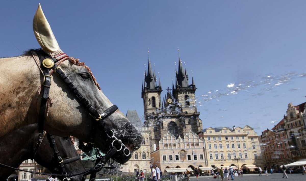 Karščiai alina Čekijos sostinė Prahą