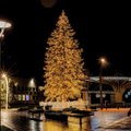 Joniškyje sužibo miesto istoriją menanti Kalėdinė eglė