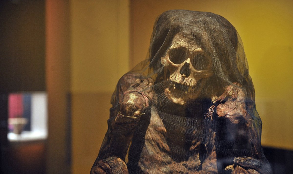 Inkų mumija (asociatyvi nuotr.)