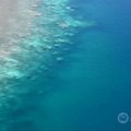 Australijos Didžiojo barjerinio rifo koralai praranda spalvą
