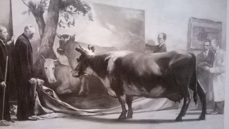 Marko Tansejaus paveikslas su karve. nuotr. A. Vaišnio  