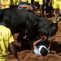 Indijoje per bulių tramdymo festivalį sužeisti dešimtys vyrų