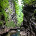 Lietuvių kelionė aplink pasaulį (IV): autostopu po Slovėniją - išilgai putojančių kalnų upelių