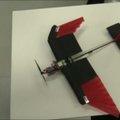 Šveicarijoje sukurtas dronas su sulankstomais sparnais