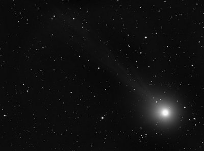 Lovejoy kometa (G. Rudzevičiaus nuotr.)