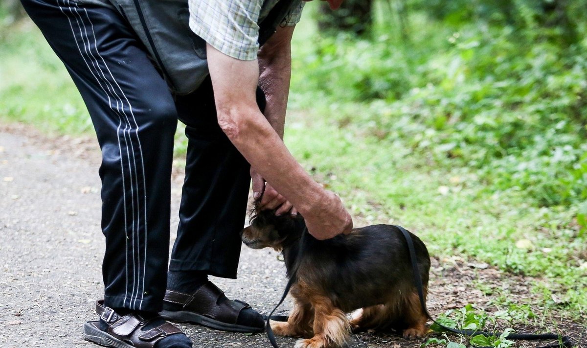 Šunų šeimininkai gali sulaukti baudos ir iš policijos, ir iš savivaldybės pareigūnų