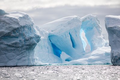 Ledynuose apstu mikroorganizmų. Shutterstock nuotr.