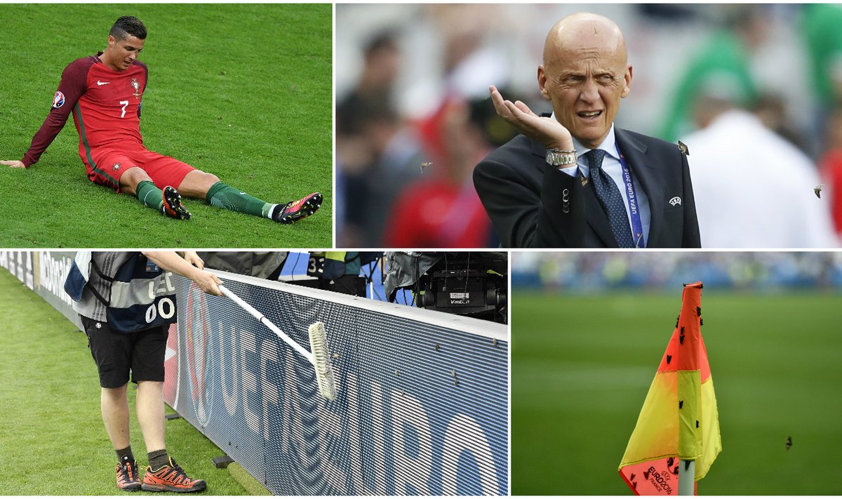 Drugių antplūdis Euro 2016 finale (AP, Reuters ir Sputnik nuotr.)