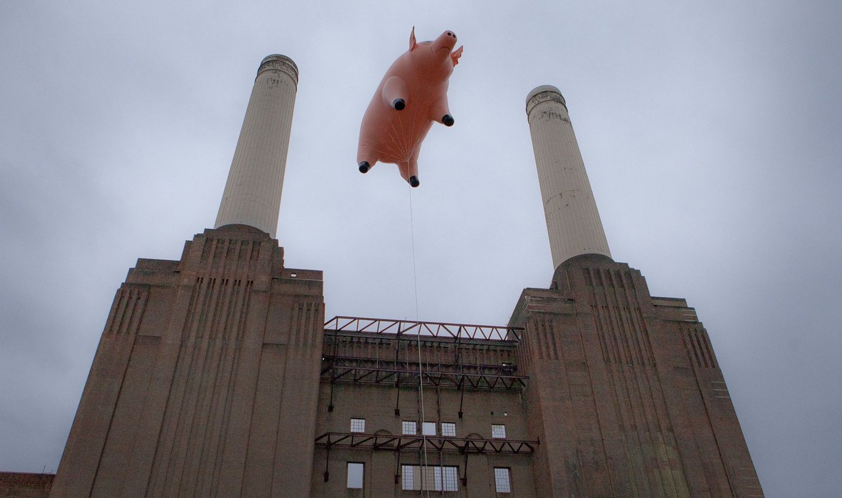 Pripučiama „Pink Floyd“ kiaulė Londone