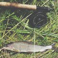 Jaudinanti žvejo kasdienybė: dzūkiški birželio kiršliai