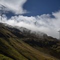 Šveicarijoje, šiaurinėje Alpių pusėje, užfiksuotas sausio mėnesio šilumos rekordas