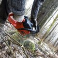 Baisi nelaimė Ignalinos rajone: genėdamas medžius elektriniu pjūklu mirtinai susižalojo vyras