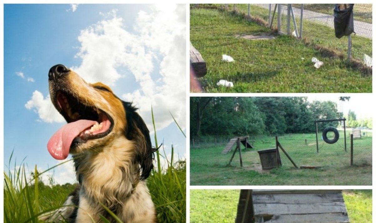 Už rinkliavą savivaldybės šunų šeimininkams pasiūlo nuskurusias aikšteles (LGTAO ir Shutterstock nuotr. montažas)