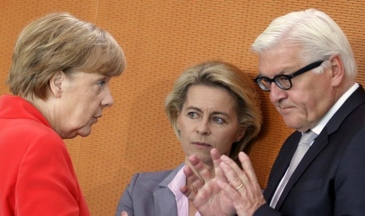 Angela Merkel, Frankas-Walteris Steinmeieris