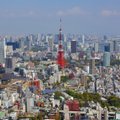 Tokijo regioną supurtė apystipris žemės drebėjimas