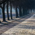 Утро в Литве было зимним: поля побелели из-за рекордных заморозков
