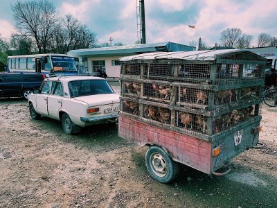 Turgus Ukrainos kaime
