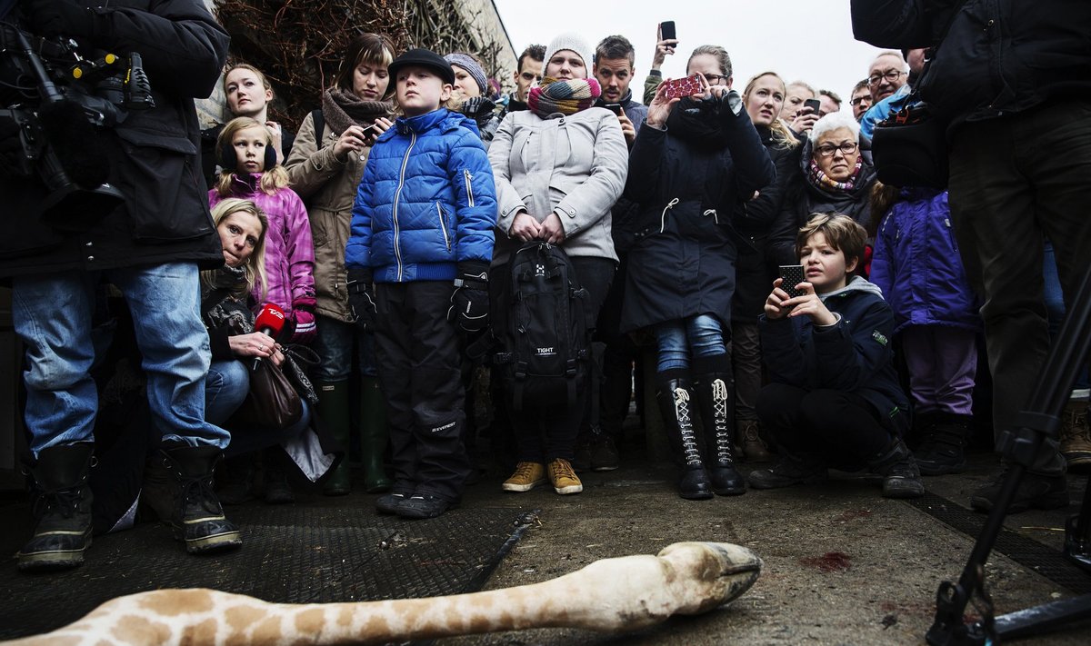Vaikams Danijoje buvo leista stebėti, kaip zoologijos sode paskerdžiama žirafa