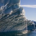 Arkties ledynų nykimu patenkinti vietos gyventojai
