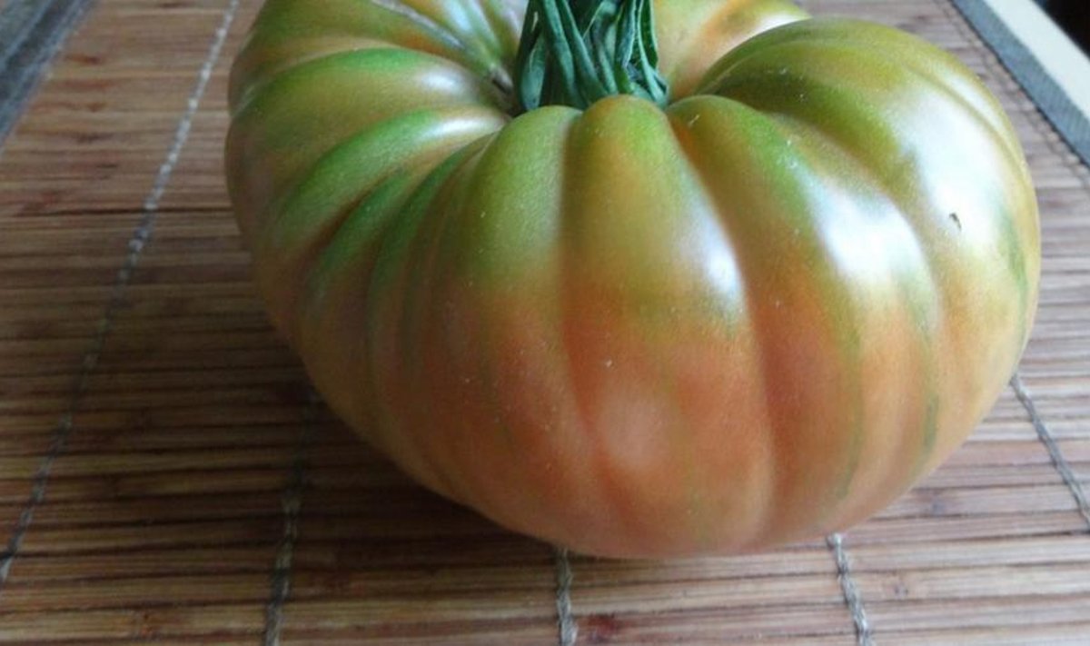 Pomidoras milžinas