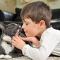 Neįtikėtina mažojo autisto ir katino draugystė