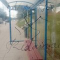 Kėdainiuose siautė vandalas: autobusų stotelė ištepliota svastikomis