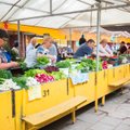 Lietuviškų daržovių sezonas: žirnių kilogramas – 6 eurai