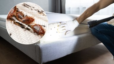 Šių parazitų įkandimų randai lieka visam gyvenimui: 6 požymiai, kad jūsų miegamajame apsigyveno nekviesti svečiai