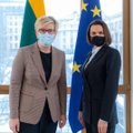 Šimonytė ir Cichanouskaja aptarė tolesnę Lietuvos paramą Baltarusijos opozicijai